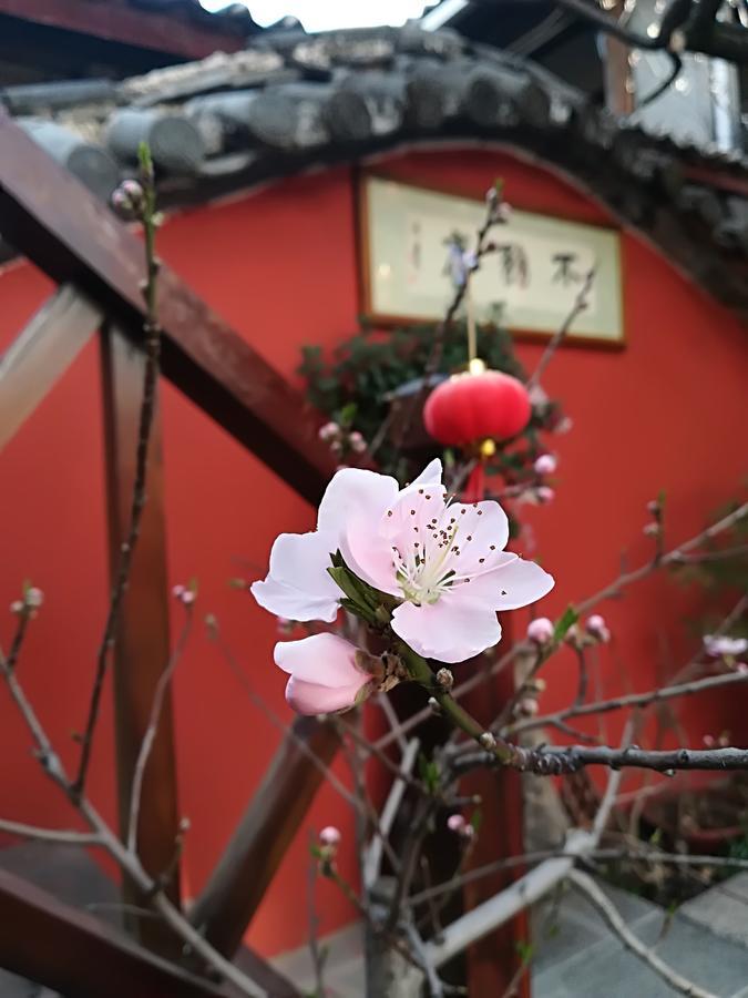 Lijiang Buwuzhai Inn Exterior photo